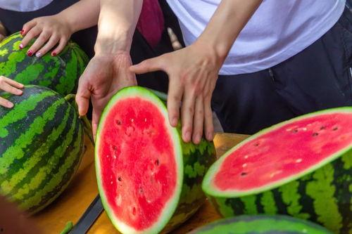 免费吃瓜途径,轻松解锁美食盛宴的秘密通道 第2张 免费吃瓜途径,轻松解锁美食盛宴的秘密通道 第2张