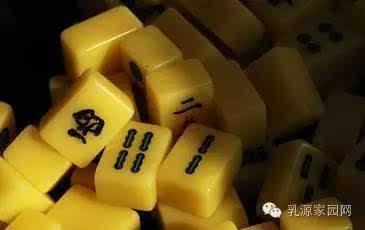 麻将配料爆料视频大全教程,视频大全教程深度解析